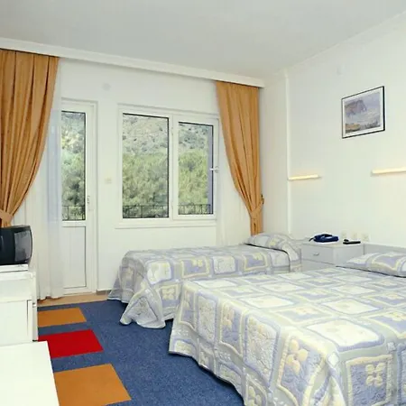 Pineta Club Hotel 3*